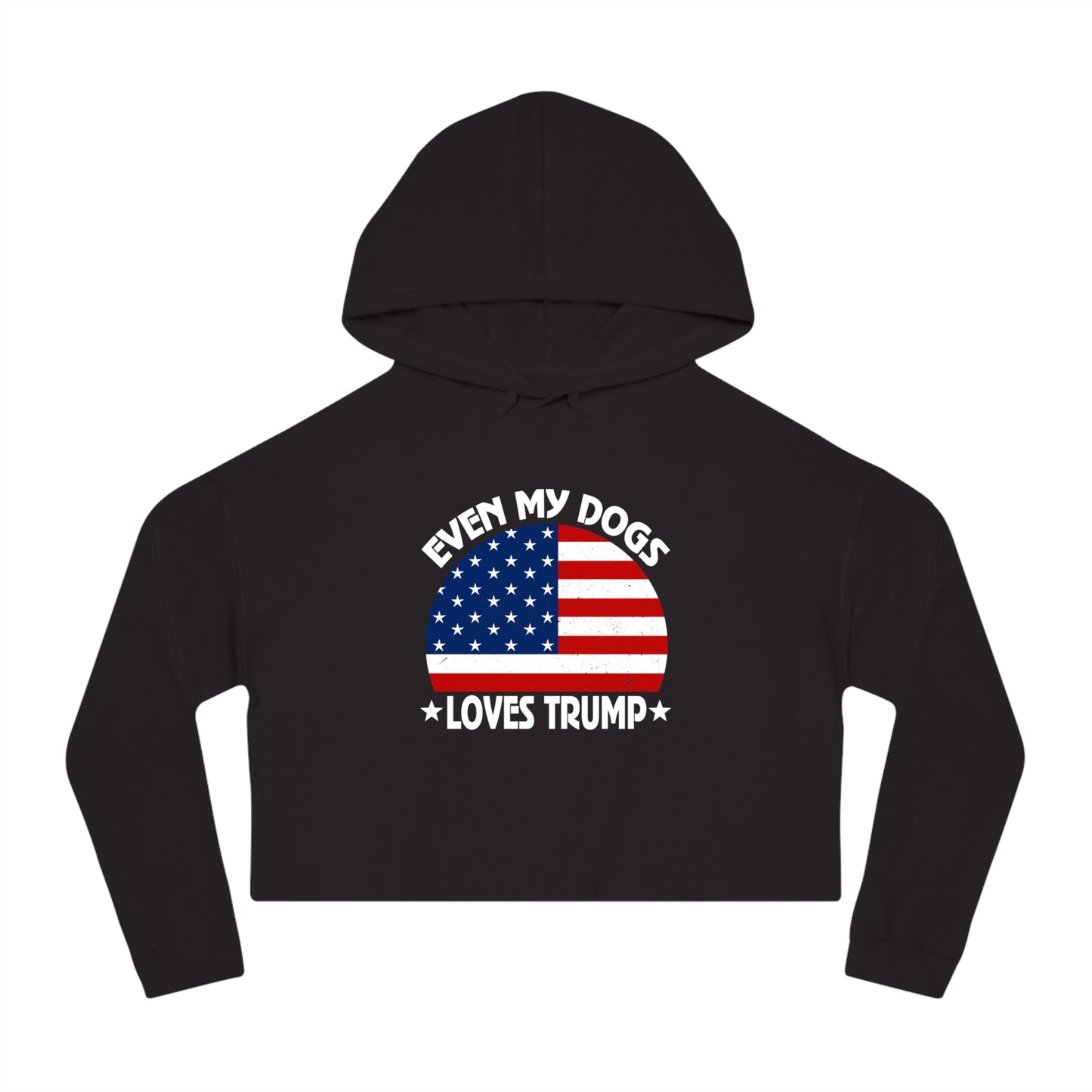 Trump for President 2024 Hoodie - Pro Trump 2024 Hoodie, Pro American Hoodie, Trump Makes America Great Again, Trump MAGA Hoodie
