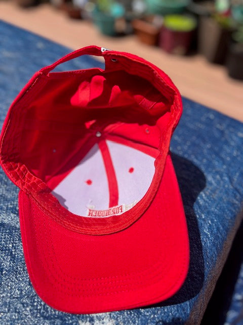 Limited Edition – ‘Forbidden to Be for Biden’ Hat